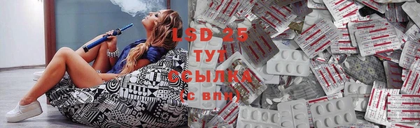 PSILOCYBIN Баксан
