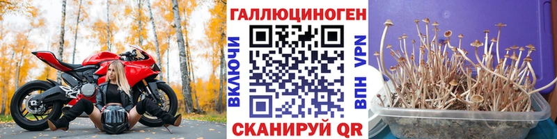 Галлюциногенные грибы прущие грибы  Купить где  Верхняя Тура 